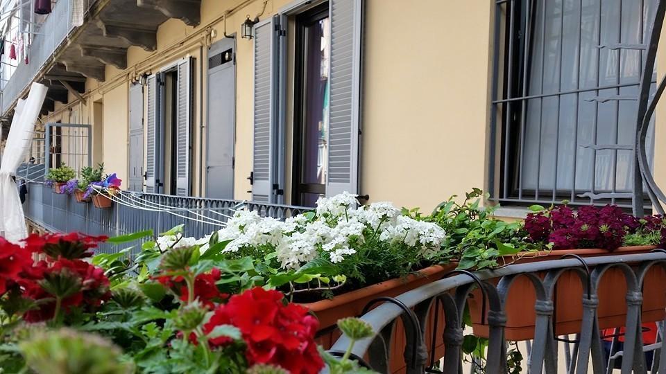 Al Piperita Bed & Breakfast Torino Eksteriør bilde